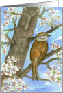 Congratulations Sparrow Bird Flowering Tree Nature Painting card