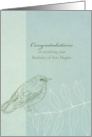 Congratulations Bachelor of Arts Degree Bird Leaves Drawing card