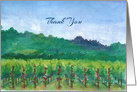 Thank You Vineyard Roses Mountains Landscape card