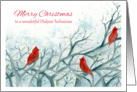 Merry Christmas Dialysis Technician Cardinal Birds Winter Trees card