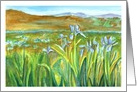 Happy Birthday Wild Iris Meadow Landscape card