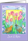 Just A Note Quail Birds Pink Tulips Blank card