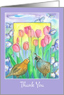 Thank You Quail Birds Pink Tulips Blank card