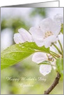 Happy Mother’s Day Custom Name Raindrops Flower Photograph card