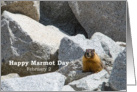 Happy Marmot Day February 2 Animal Rocks Nature Photography card