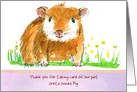 Pet Sitter Thank You Guinea Pig Animal Drawing card