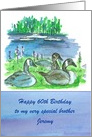 Happy 60th Birthday Brother Canada Geese Lake Boats Custom card