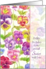 Happy Birthday Sister Rainbow Pansy Flowers card