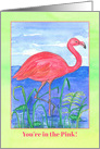 Good Health Feeling Better Flamingo Bird Frog Pond card