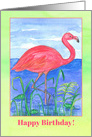Happy Birthday Pink Flamingo Bird Frog Pond card