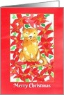 Merry Christmas Cat Red Poinsettia Flowers card