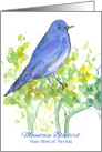 Mountain Bluebird State Bird of Nevada Watercolor Sagebrush card