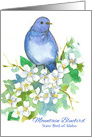 Mountain Bluebird State Bird of Idaho Watercolor Syringa Flower card