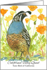 State Bird of California Valley Quail Orange Poppy Flowers Watercolor card