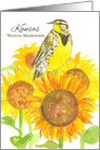 State Bird of Kansas Western Meadowlark Sunflower Watercolor card