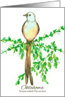 State Bird of Oklahoma Flycatcher Mistletoe Plant Watercolor card