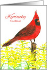 State Bird of Kentucky Cardinal Goldenrod Wildflower card