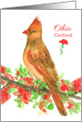 State Bird of Ohio Cardinal Red Carnation Flower card