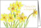 Yellow Daffodils Thinking of You in Springtime card