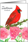 State Bird of Indiana Cardinal Peony Flower card