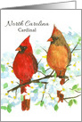 State Bird of North Carolina Northern Cardinal card