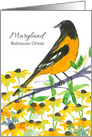 State Bird of Maryland Baltimore Oriole card