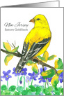 State Bird of New Jersey Eastern Goldfinch Purple Violets card