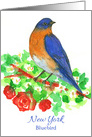 State Bird of New York Bluebird Red Roses Watercolor card