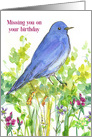 Missing You On Your Birthday Bluebird Wildflowers card