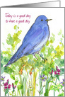 Today Is A Good Day To Have A Good Day Bluebird card