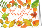 Thankful Thanksgiving Acorns Autumn Leaves card