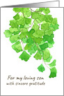 Thank You Son Caregiver Fern Plant card