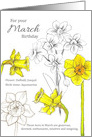 For Your March Birthday Daffodils Jonquils Botanical card