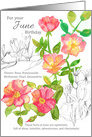 For Your June Birthday Roses Honeysuckle Botanical card