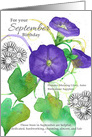 For Your September Birthday Morning Glory Asters Spatter card