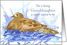 Granddaughter Pregnancy Congratulations Dove Bird card