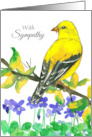 With Sympathy Goldfinch Bird Violet Flowers card
