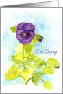 I’m Sorry Apology Purple Pansy Flower Watercolor Painting card