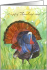 Happy Thanksgiving Turkey Autumn Grass Field card