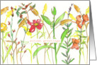 Autumn Greetings Watercolor Wildflowers Season card