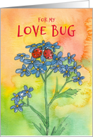 For My Love Bug Happy Valentine’s Day Ladybird card