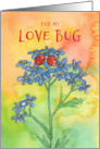 For My Love Bug Happy Valentine’s Day Ladybird card