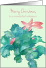 Merry Christmas Volunteer Cactus Blooming Pink Flowers card