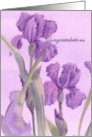 Congratulations Retirement Purple Iris Flower card