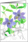 Clematis Flower Botanical Plant Drawing Watercolor Spatter Blank card