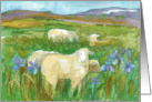 Happy Spring Lambs Sheep Wild Iris Field Watercolor card