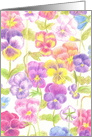 Hello Special Friend Pansy Flowers Illustration card