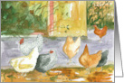 Happy Birthday From All Of Us Chickens Hens Farm card