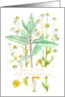 Praying For You Bible Verse James 4 Garden Plants card