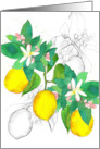 June National Lemon Month Citrus Fruit Spatter card